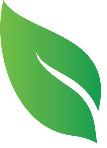 Lifestyle cleaning logo