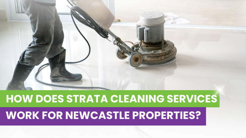 How Strata Cleaning Services Work for Newcastle Properties
