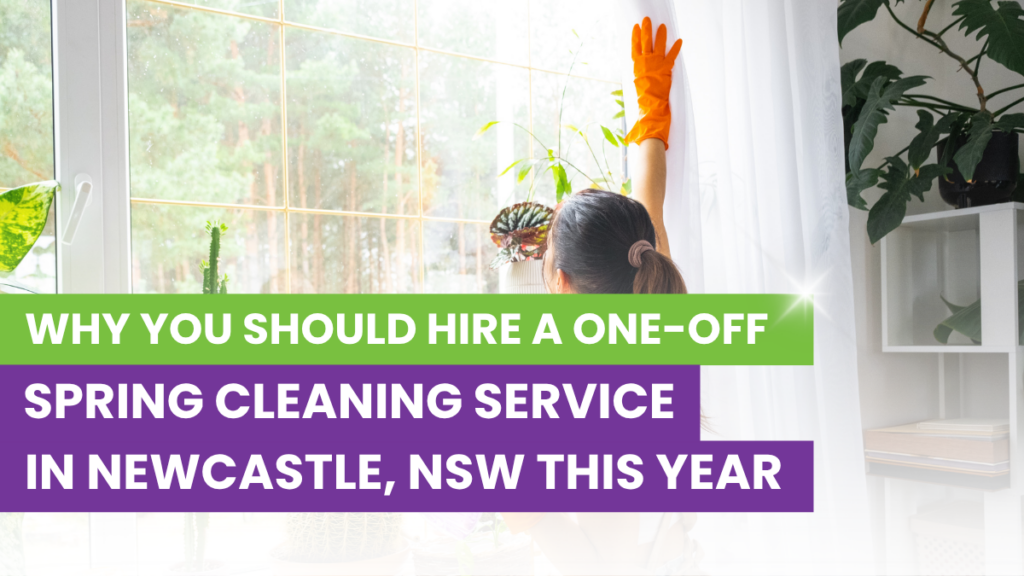 spring cleaning service